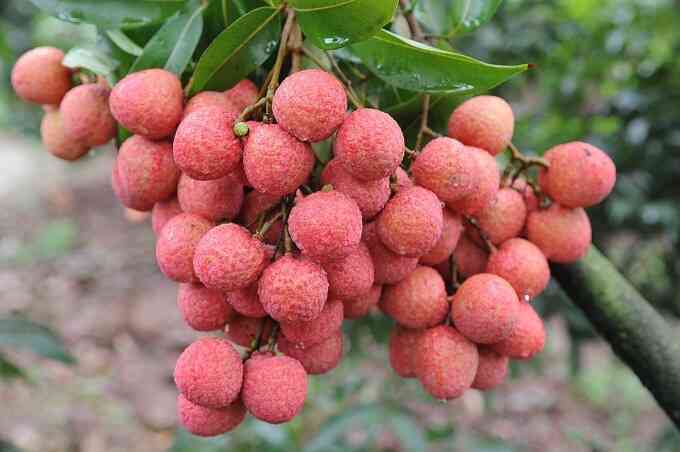 10 điểm mới của Luật Sở hữu trí tuệ giúp 