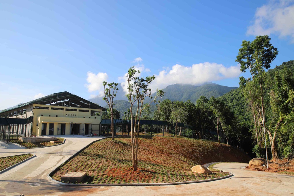 Cứu hộ thành công hai cá thể gấu, được đặt tên theo phi hành gia - 3