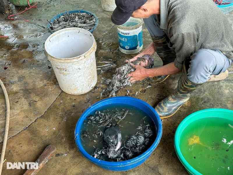 Tận diệt chim trời: Miếng ăn hủy hoại sức khỏe và phá vỡ đa dạng sinh học - 3
