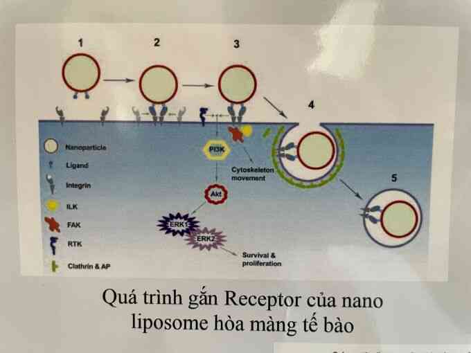 Nhà khoa học giới thiệu hơn 100 nghiên cứu mới lĩnh vực y dược