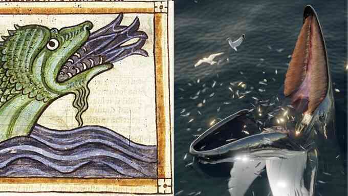"Giải mã" quái vật biển đe dọa người Bắc Âu thời trung cổ