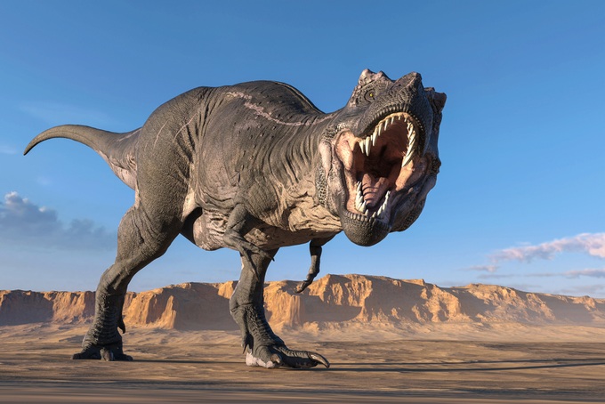Khủng long bạo chúa T-rex luôn gắn liền với hình ảnh đáng sợ và hàm răng luôn chìa ra ngoài (Ảnh: Discover). Khủng long bạo chúa T-rex luôn gắn liền với hình ảnh đáng sợ và hàm răng luôn chìa ra ngoài (Ảnh: Discover).