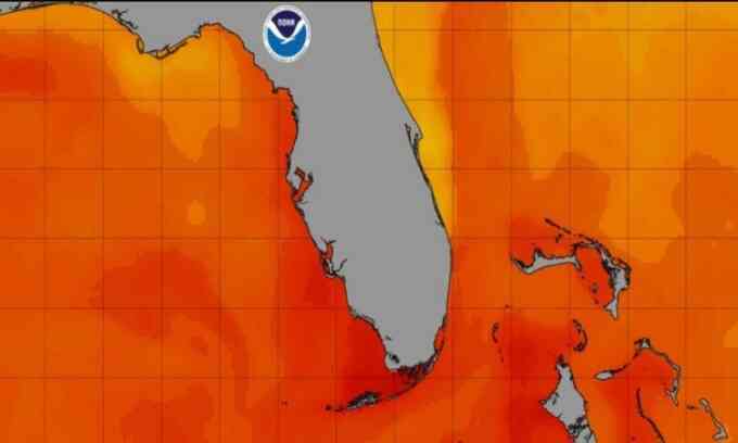 Nước biển Florida có thể lập kỷ lục nóng nhất thế giới