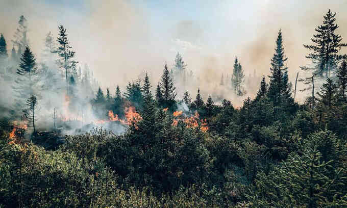 Cháy rừng Canada thải ra hơn 1 tỷ tấn CO2