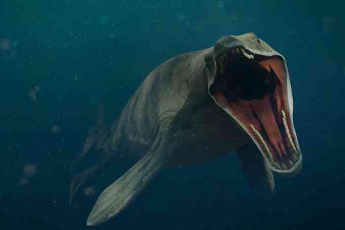 Siêu cá mập Megalodon đối đầu thủy quái Mosasaurus: Loài nào sẽ thắng? - 2