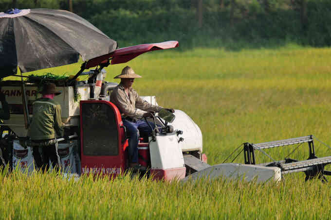 Khoa học công nghệ đóng góp trên 30% giá trị gia tăng trong nông nghiệp