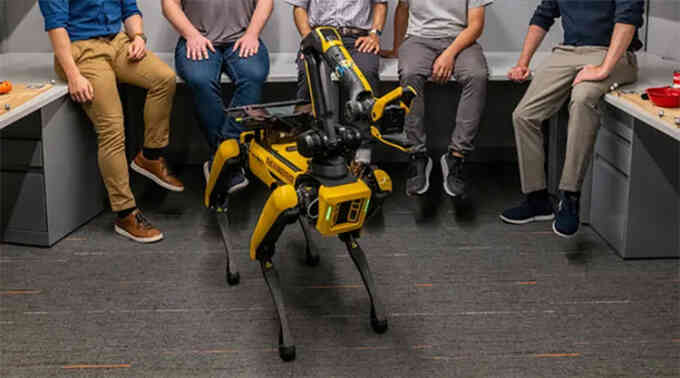 Chó robot bắt bóng