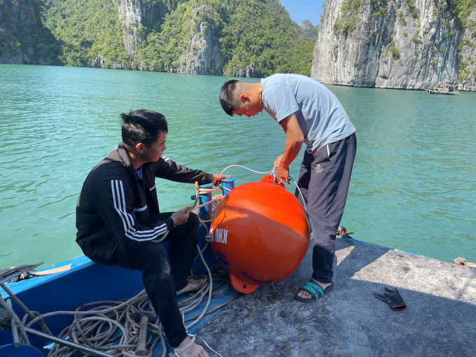 Thả phao bảo vệ rạn san hô ở Cát Bà