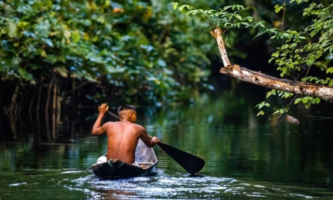 Lý do sông Amazon dài 6.400 km mà không có cầu