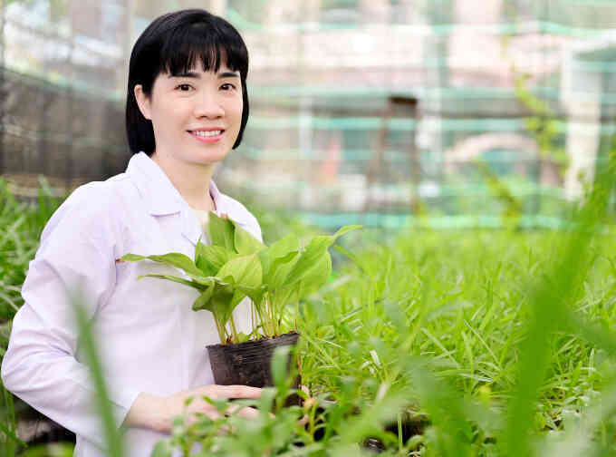 Nhà khoa học đam mê nghiên cứu dược liệu đặc hữu ở Việt Nam