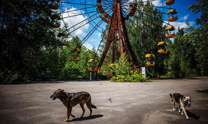 Những sinh vật đột biến ở vùng cấm Chernobyl