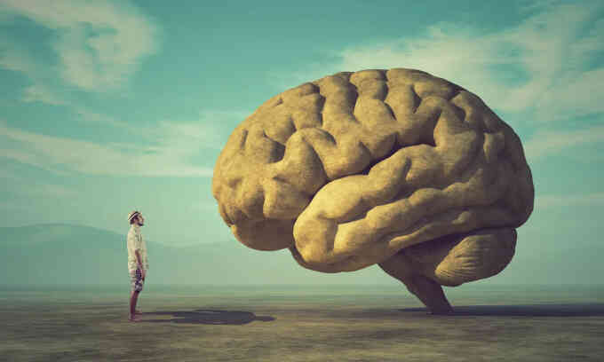 Bộ não người ngày càng lớn