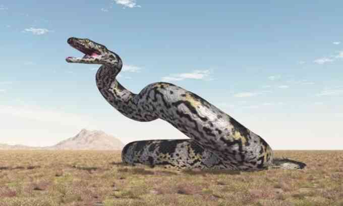 Hóa thạch có thể là loài rắn lớn nhất hành tinh