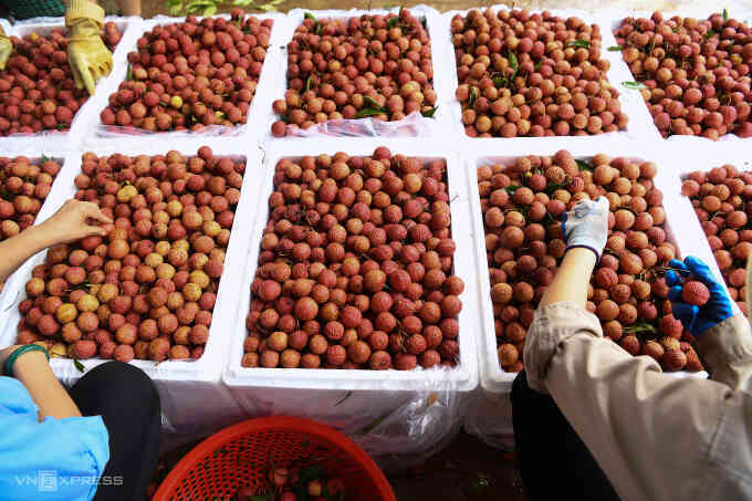 Nông sản Việt bán giá tốt khi được bảo hộ tại nước ngoài