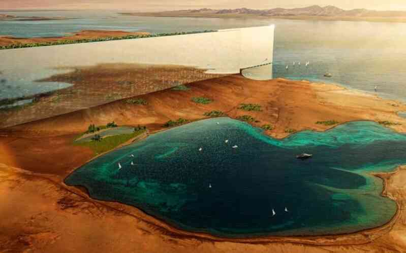 Tòa nhà chọc trời dài 170km ở Arab Saudi có thể phải thay đổi vì loài chim - 1