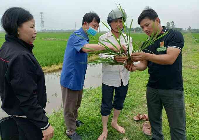 56 tác giả được chọn 