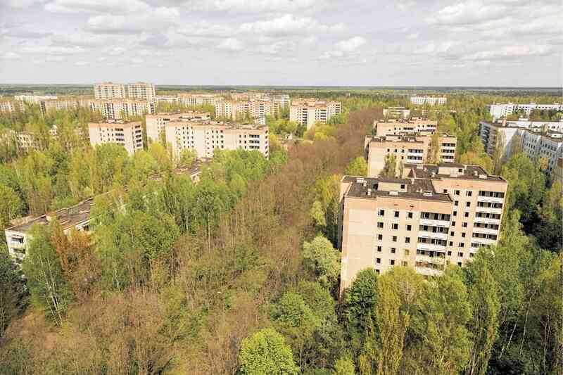Chernobyl hiện ra sao sau khi con người rời bỏ do thảm họa hạt nhân? - 3
