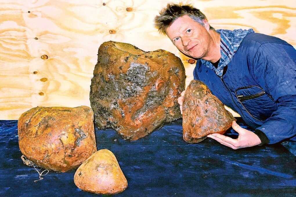 Long diên hương là gì mà nhiều người truy tìm? - 2