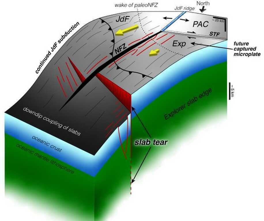 Phát hiện chấn động: Một mảng kiến tạo Trái Đất đang tự tách rời  - 2
