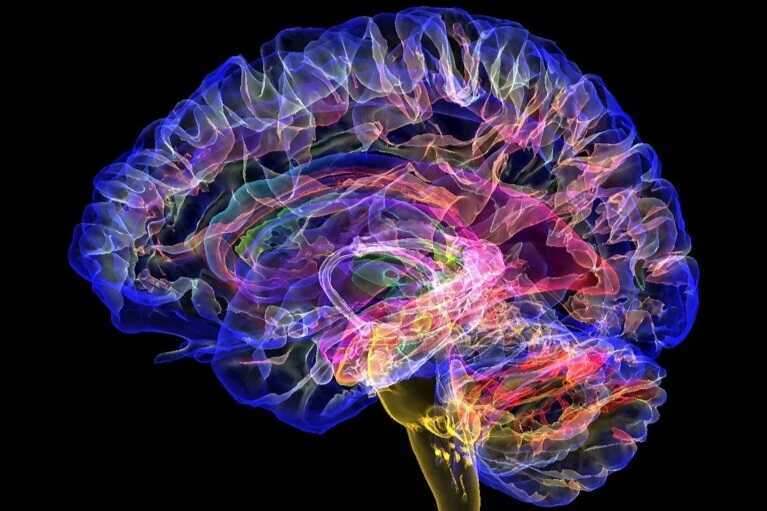 4 lần não bộ tự khởi động lại trong đời: Bạn đang ở giai đoạn nào?