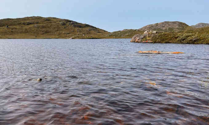 Lý do hàng nghìn hồ nước ở Greenland từng chuyển màu nâu