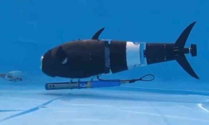 Robot cá AI cách mạng hóa chăn nuôi thủy sản