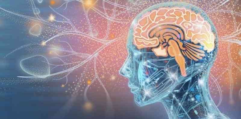 Dữ liệu từ não người có thể “sao chép” và tải lên máy tính?