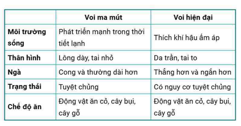 Voi ma mút khác voi hiện đại thế nào? - 3