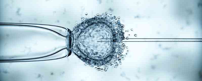 8 em bé chào đời bằng kỹ thuật IVF mang gen của 3 cha mẹ