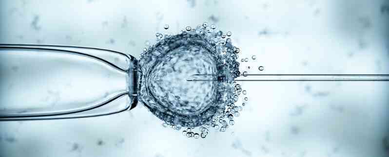 8 em bé chào đời bằng kỹ thuật IVF mang gen của 3 cha mẹ - 1