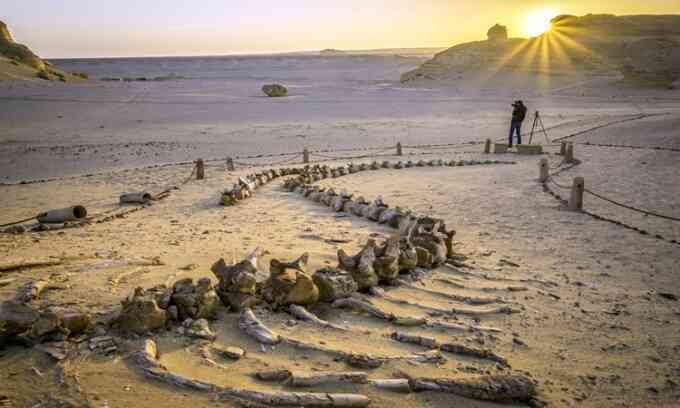Nghĩa địa cá voi giữa sa mạc Sahara