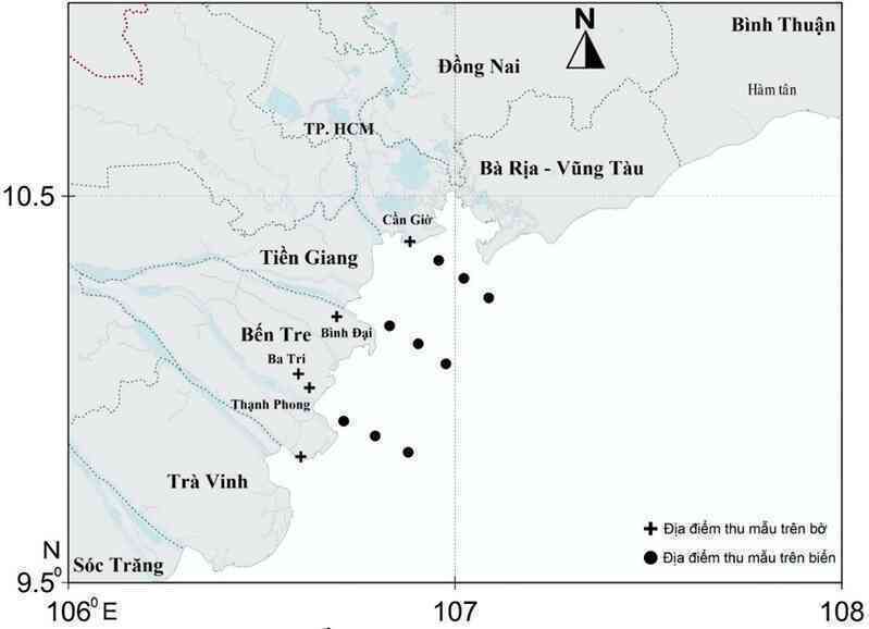 Vẻ ngoài kỳ dị của loài cá lần đầu tiên ghi nhận ở Việt Nam