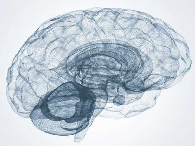 Vì sao bạc hà khiến miệng có cảm giác mát lạnh?