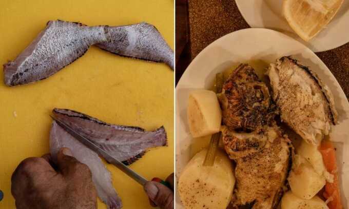 Nhà khoa học khuyên ăn thịt cá sư tử để ngăn chúng xâm lấn