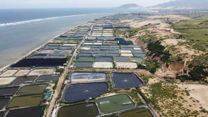 Ban hành Nghị định xử phạt hành chính lĩnh vực năng lượng nguyên tử