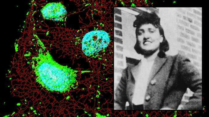 Gia đình người có 