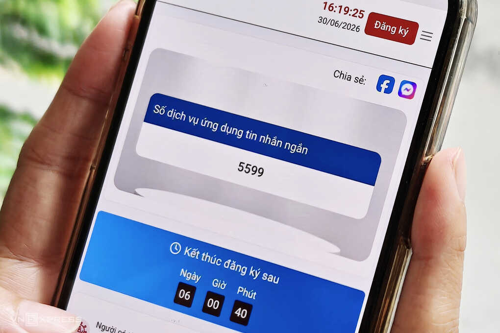 Hai mã, số viễn thông được đưa ra đấu giá